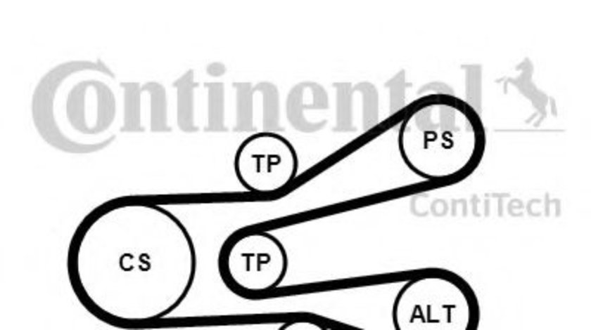 Set curea transmisie cu caneluri PEUGEOT EXPERT (224) (1995 - 2016) CONTITECH 6PK1440K1 piesa NOUA
