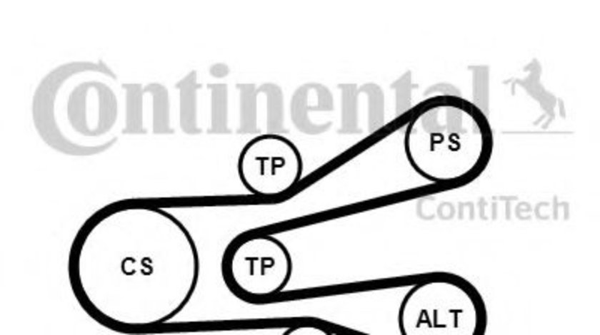 Set curea transmisie cu caneluri PEUGEOT PARTNER combispace (5F) (1996 - 2012) CONTITECH 6PK1440K1 piesa NOUA