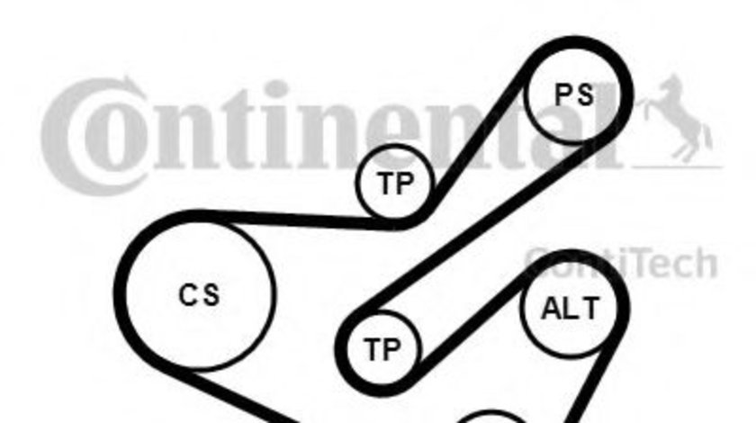 Set curea transmisie cu caneluri PEUGEOT PARTNER caroserie (5) (1996 - 2012) CONTITECH 6PK1740K1 piesa NOUA