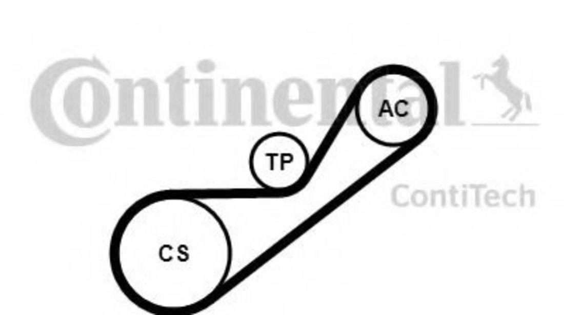 Set curea transmisie cu caneluri RENAULT CLIO II (BB0/1/2, CB0/1/2) (1998 - 2005) CONTITECH 4PK925K1 piesa NOUA