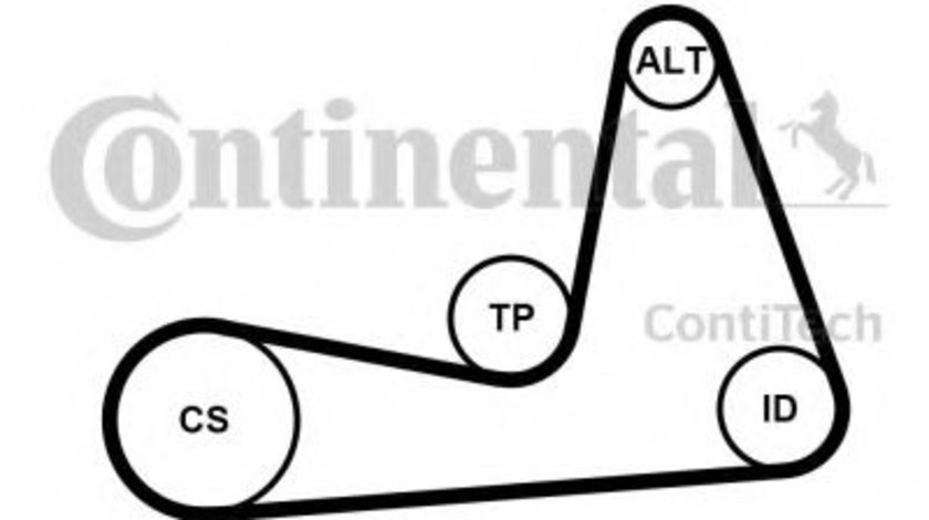 Set curea transmisie cu caneluri RENAULT MEGANE II Grandtour (KM0/1) (2003 - 2012) CONTITECH 6PK1130K1 piesa NOUA