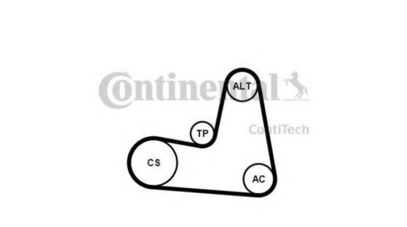 Set curea transmisie cu caneluri Renault MEGANE II (BM0/1_, CM0/1_) 2002-2011 #2 7701477515