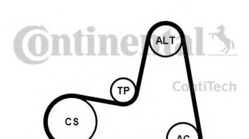 Set curea transmisie cu caneluri RENAULT MEGANE II Limuzina (LM0/1) (2003 - 2016) CONTITECH 7PK1125K1 piesa NOUA