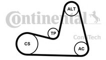 Set curea transmisie cu caneluri RENAULT MODUS / G...