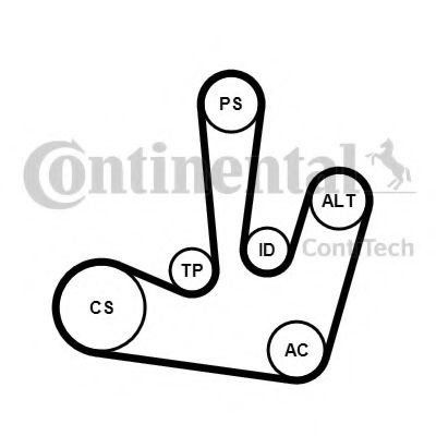 Set curea transmisie cu caneluri RENAULT VEL SATIS (BJ0) (2002 - 2016) CONTITECH 6PK1795K1 piesa NOUA