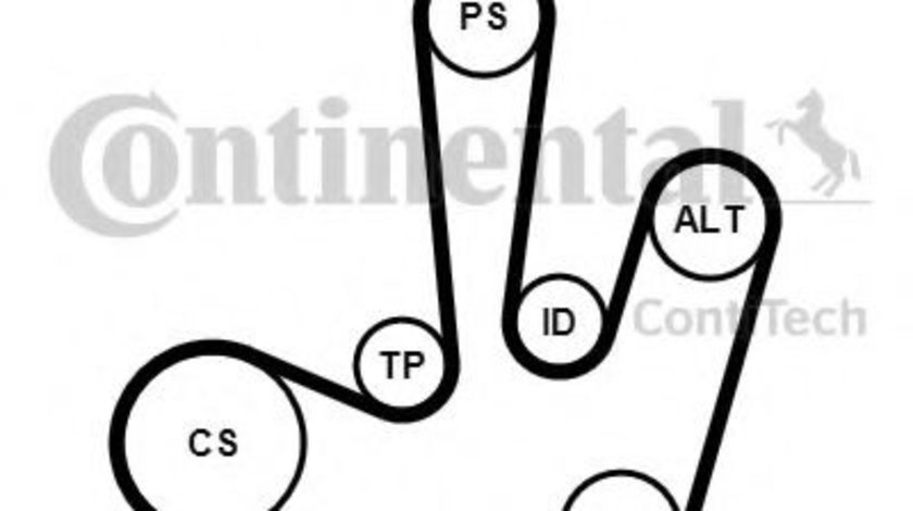 Set curea transmisie cu caneluri RENAULT VEL SATIS (BJ0) (2002 - 2016) CONTITECH 6PK1795K1 piesa NOUA