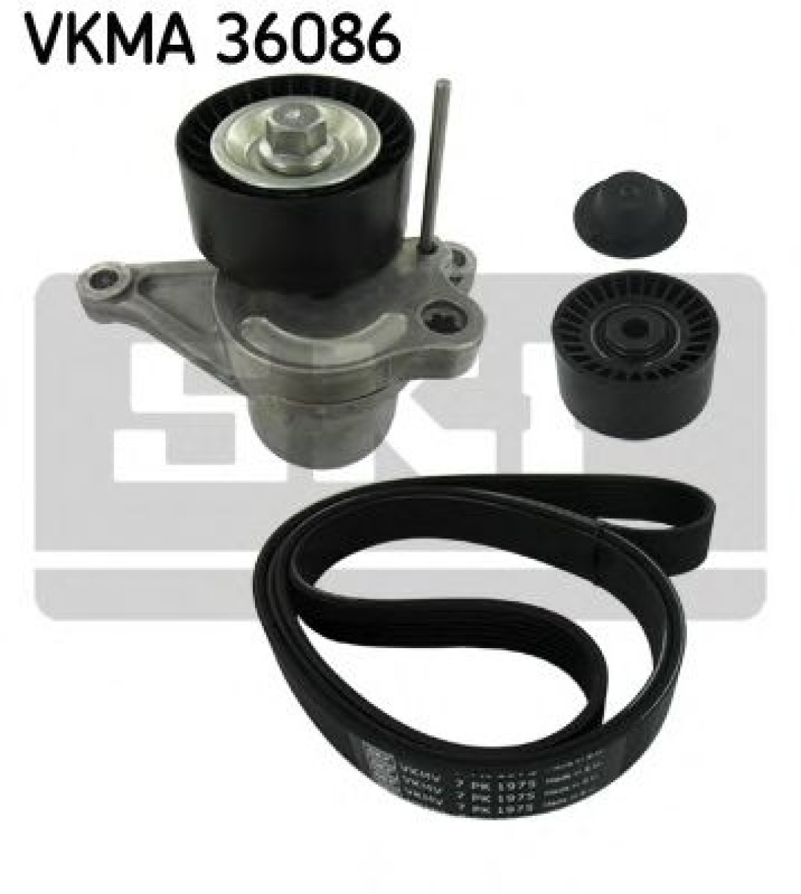 Set curea transmisie cu caneluri RENAULT VEL SATIS (BJ0) (2002 - 2016) SKF VKMA 36086 piesa NOUA