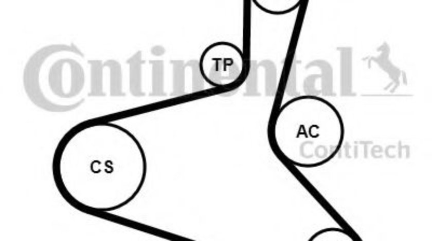 Set curea transmisie cu caneluri SEAT ALHAMBRA (7V8, 7V9) (1996 - 2010) CONTITECH 6DPK1195K2 piesa NOUA