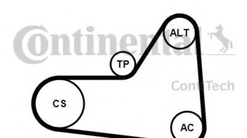 Set curea transmisie cu caneluri SEAT ALHAMBRA (710, 711) (2010 - 2016) CONTITECH 6PK1070K1 piesa NOUA