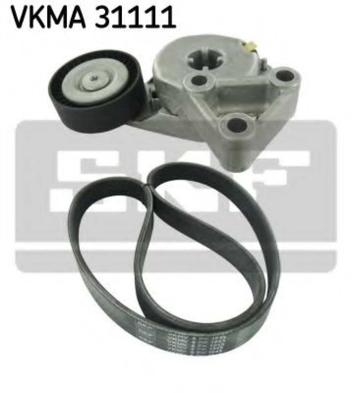 Set curea transmisie cu caneluri SEAT ALTEA (5P1) (2004 - 2016) SKF VKMA 31111 piesa NOUA