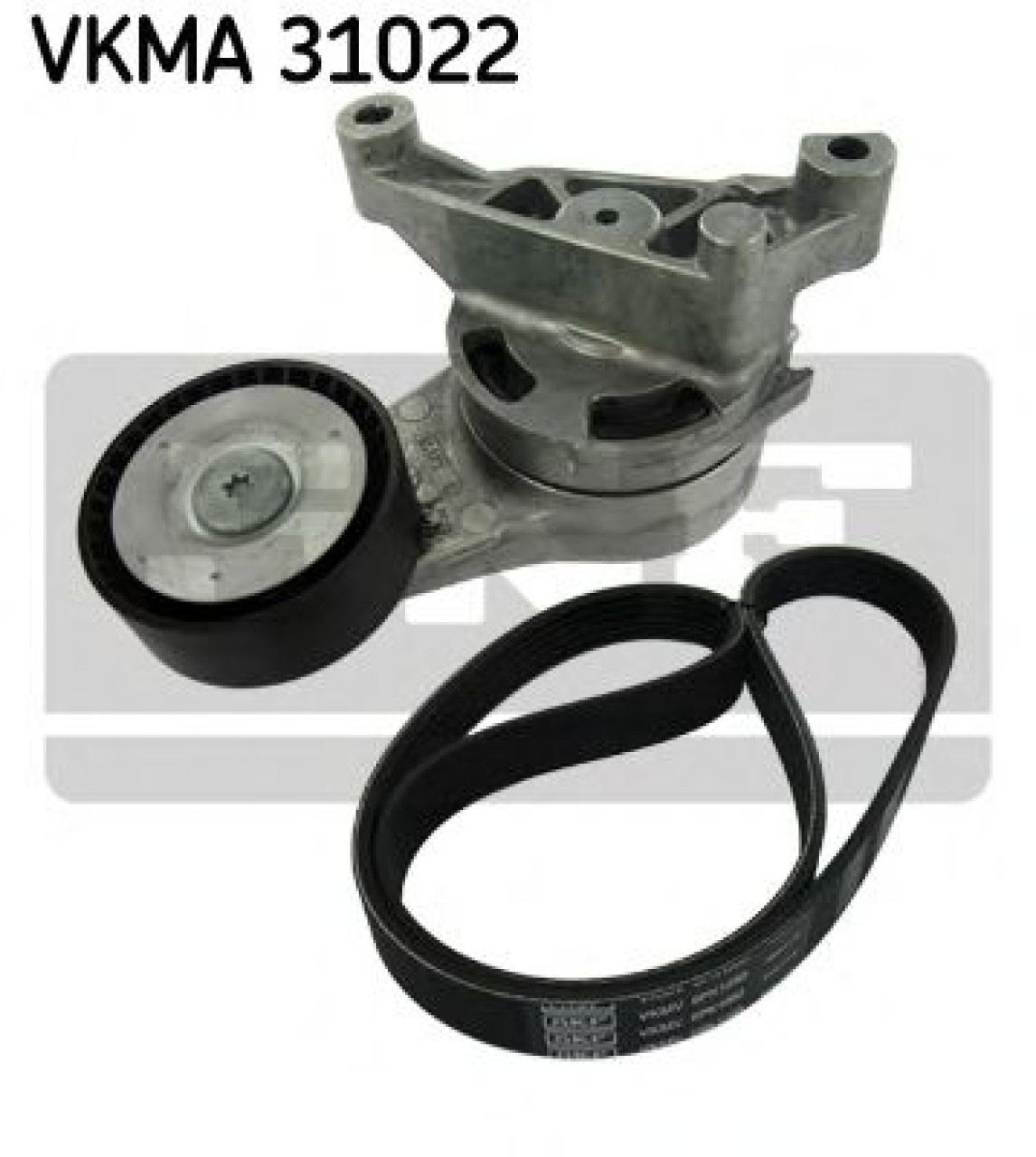 Set curea transmisie cu caneluri SEAT ALTEA (5P1) (2004 - 2016) SKF VKMA 31022 piesa NOUA