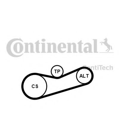 Set curea transmisie cu caneluri SEAT IBIZA IV (6L1) (2002 - 2009) CONTITECH 6PK1180K2 piesa NOUA