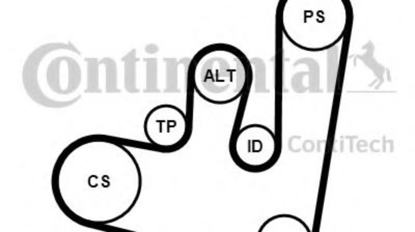 Set curea transmisie cu caneluri SEAT LEON (1M1) (1999 - 2006) CONTITECH 6PK1660K1 piesa NOUA
