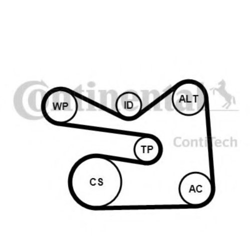 Set curea transmisie cu caneluri SEAT LEON (1P1) (2005 - 2012) CONTITECH 6PK1733K3 piesa NOUA