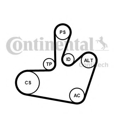 Set curea transmisie cu caneluri SEAT TOLEDO II (1M2) (1998 - 2006) CONTITECH 6PK1548K1 piesa NOUA