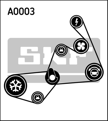 Set Curea Transmisie Cu Caneluri Skf Audi VKMA 31020