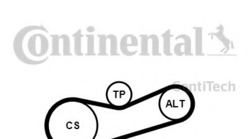 Set curea transmisie cu caneluri SKODA FABIA I Combi (6Y5) (2000 - 2007) CONTITECH 6PK1180K2 piesa NOUA