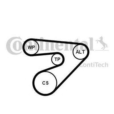 Set curea transmisie cu caneluri SKODA FABIA II (2006 - 2014) CONTITECH 6PK1453K2 piesa NOUA