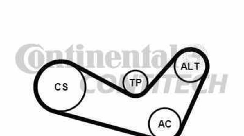 Set curea transmisie cu caneluri SKODA FABIA CONTITECH 6PK1080K1