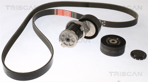Set Curea Transmisie Cu Caneluri Triscan 8642 29040