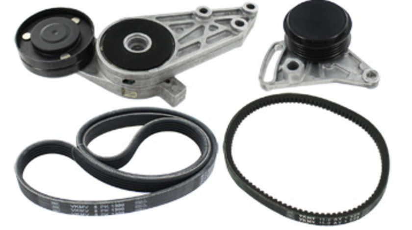 Set curea transmisie cu caneluri (VKMA31122 SKF) AUDI,SKODA,VW