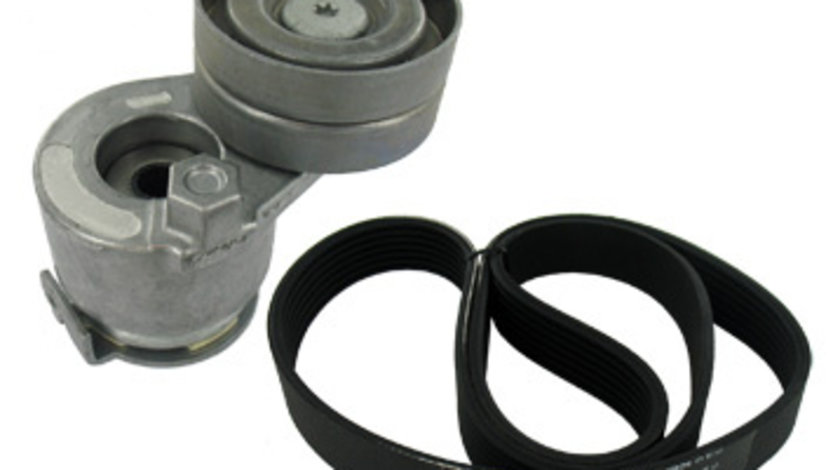 Set curea transmisie cu caneluri (VKMA36072 SKF) RENAULT