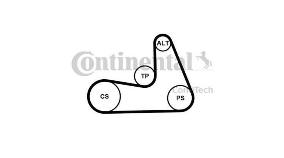 Set curea transmisie cu caneluri Volvo S60 II 2010-2016 #2 31401425