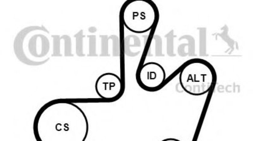 Set curea transmisie cu caneluri VW BORA (1J2) (1998 - 2005) CONTITECH 6PK1548K1 piesa NOUA