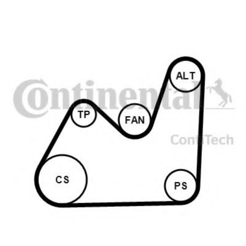Set curea transmisie cu caneluri VW BORA Combi (1J6) (1999 - 2005) CONTITECH 5PK1432K1 piesa NOUA