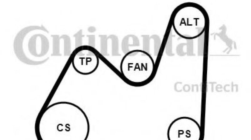 Set curea transmisie cu caneluri VW BORA Combi (1J6) (1999 - 2005) CONTITECH 5PK1432K1 piesa NOUA