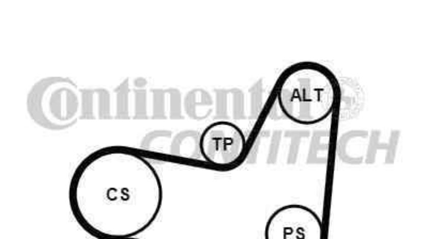 Set curea transmisie cu caneluri VW GOLF III (1H1) CONTITECH 6PK1070K2