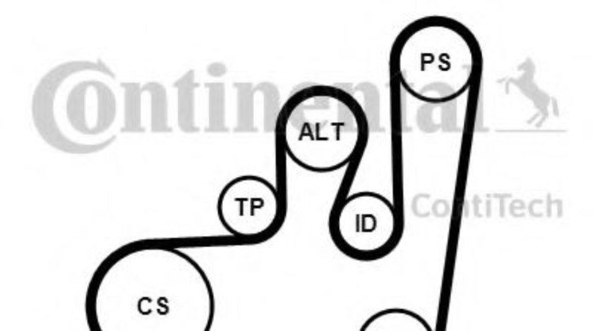 Set curea transmisie cu caneluri VW GOLF III Cabriolet (1E7) (1993 - 1998) CONTITECH 6PK1145K1 piesa NOUA