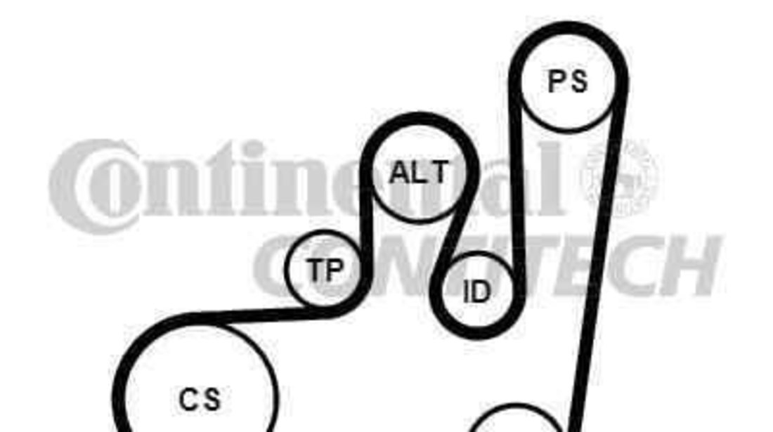 Set curea transmisie cu caneluri VW GOLF III Variant (1H5) CONTITECH 6PK1145K1