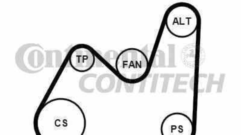 Set curea transmisie cu caneluri VW GOLF IV 1J1 CONTITECH 5PK1432K1