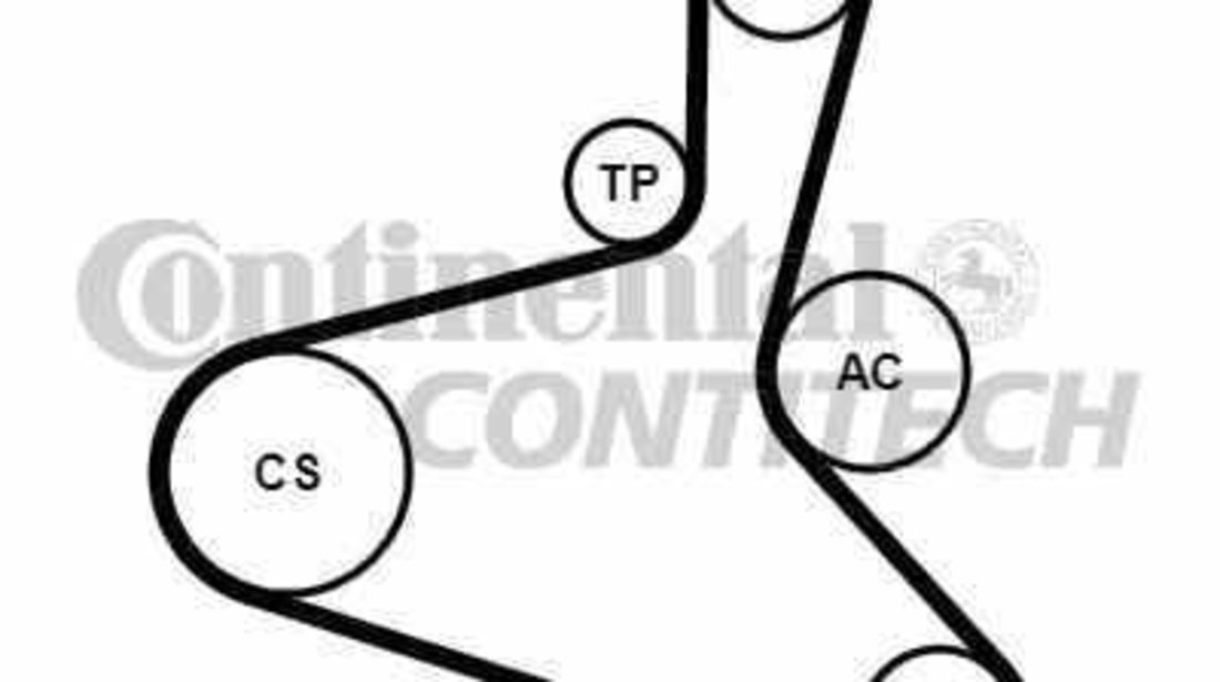 Set curea transmisie cu caneluri VW GOLF IV 1J1 CONTITECH 6DPK1195K2