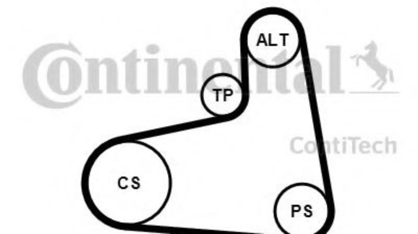 Set curea transmisie cu caneluri VW GOLF IV (1J1) (1997 - 2005) CONTITECH 6PK906K3 piesa NOUA