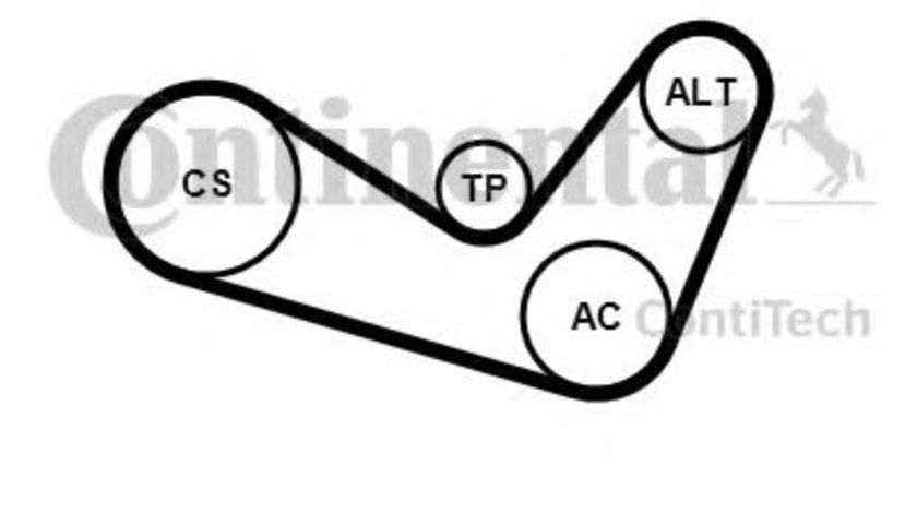 Set curea transmisie cu caneluri VW GOLF PLUS (5M1, 521) (2005 - 2013) CONTITECH 6PK1050K2 piesa NOUA