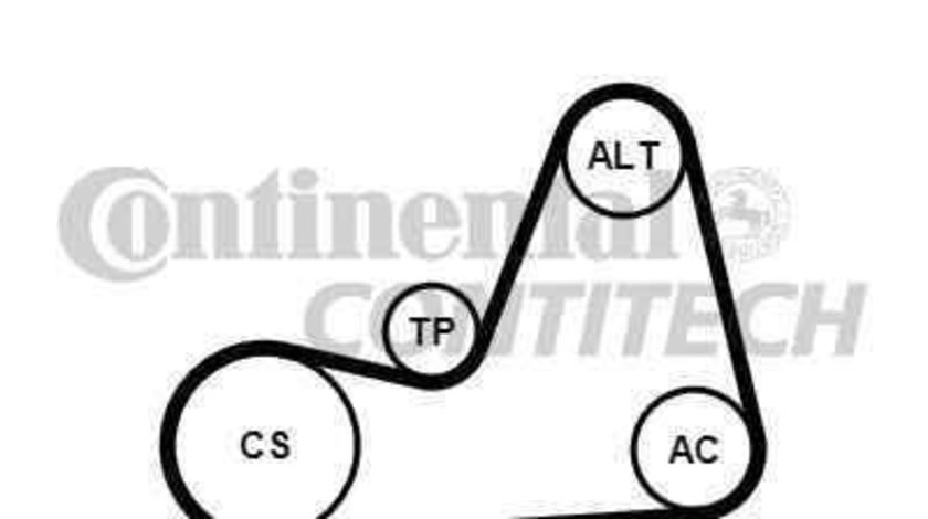 Set curea transmisie cu caneluri VW GOLF VI (5K1) CONTITECH 6PK1100K1