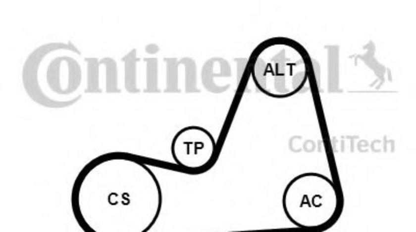 Set curea transmisie cu caneluri VW GOLF VI Variant (AJ5) (2009 - 2013) CONTITECH 6PK1100K1 piesa NOUA