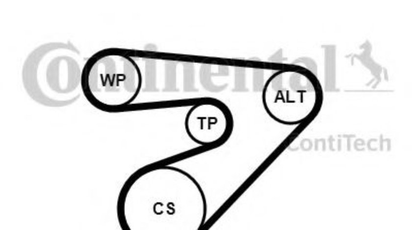 Set curea transmisie cu caneluri VW POLO (6R, 6C) (2009 - 2016) CONTITECH 6PK1453K2 piesa NOUA