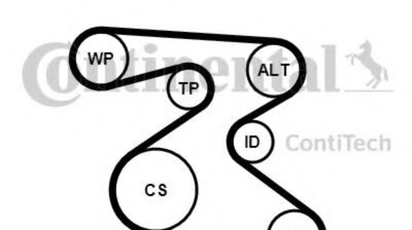 Set curea transmisie cu caneluri VW POLO (9N) (2001 - 2012) CONTITECH 6PK1873K1 piesa NOUA