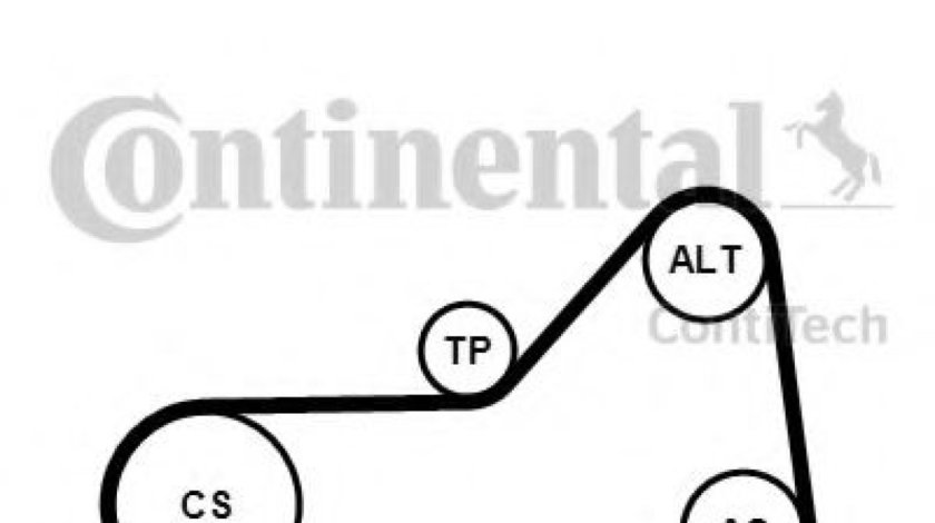 Set curea transmisie cu caneluri VW SHARAN (7M8, 7M9, 7M6) (1995 - 2010) CONTITECH 6PK1153K1 piesa NOUA