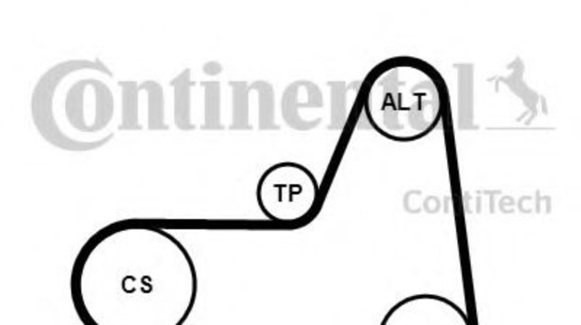 Set curea transmisie cu caneluri VW TOURAN (1T1, 1T2) (2003 - 2010) CONTITECH 6PK1045K2 piesa NOUA