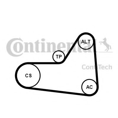Set curea transmisie cu caneluri VW TOURAN (1T1, 1T2) (2003 - 2010) CONTITECH 6PK1070K1 piesa NOUA