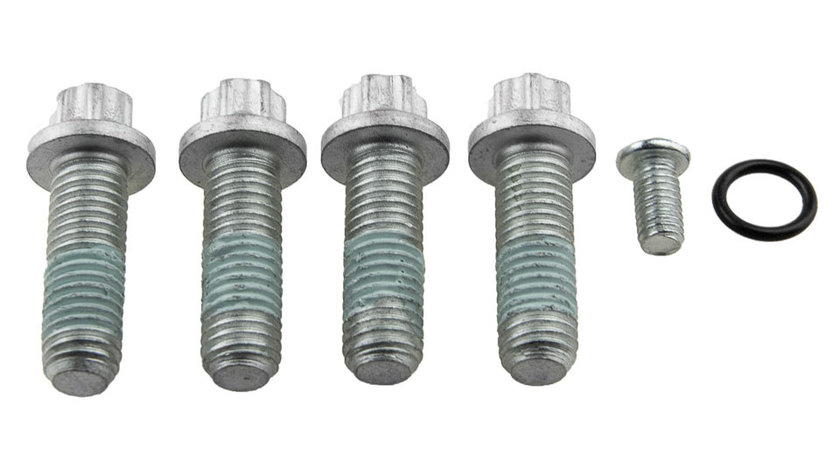 SET DE MONTAJ, KIT DO NR: KLT-VV-013 /4+1 BOLTS, ORING/