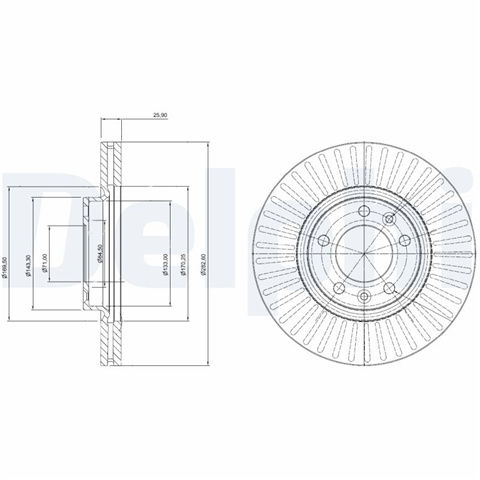 Set Discuri Frana Delphi Vauxhall BG3835C