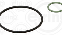 Set etansare, pompa vacuum (880100 ELR) Citroen,FI...