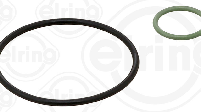 Set etansare, pompa vacuum (880100 ELR) Citroen,FIAT,FORD,FORD AUSTRALIA,LANCIA,PEUGEOT,VOLVO