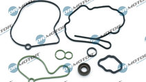 Set etansare, pompa vacuum (DRM0192K DRM) AUDI,FOR...