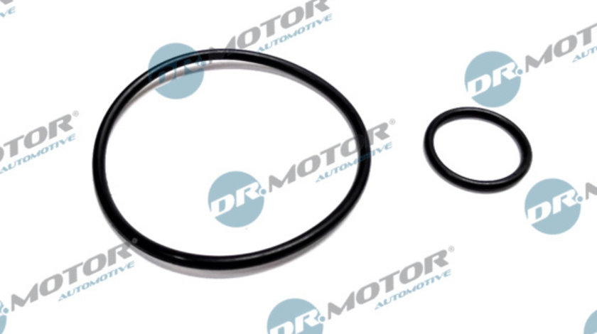 Set etansare, pompa vacuum (DRM049 DRM) Citroen,FIAT,FORD,LANCIA,PEUGEOT,VOLVO